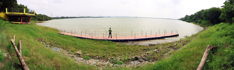 naidunia_image